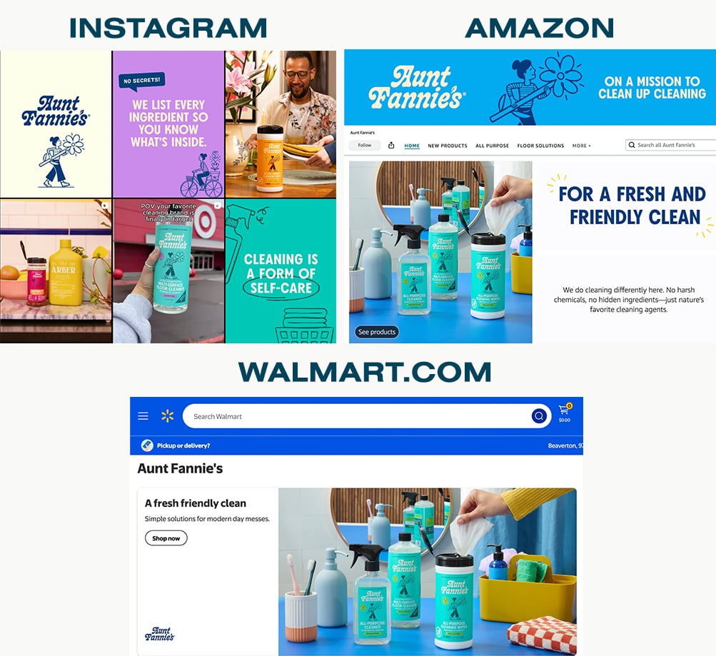 Omnichannel retail example of Instagram, Amazon, and Walmart for Aunt Fannie's cleaning brand